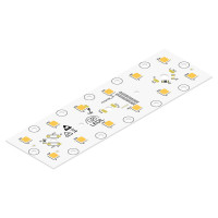 LED-12-P146x44(5050K;4700-5300;455)-PL124.08-21