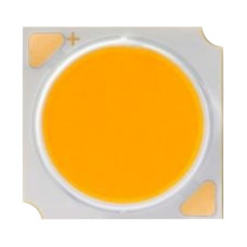 RF-A19C-W5ST0712-P7